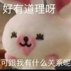 菜菜