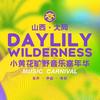 2026大同小黄花旷野音乐嘉年华