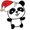 大能猫