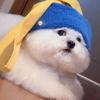 、つ兜里有糖