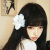 리닝닝