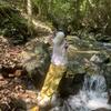 糖潇湘