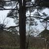 平平淡淡是为真
