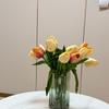 晚晚《孕期》