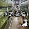 安徽书琴热带鱼渔场