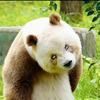 ༄无念࿐