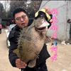 钓来钓去🎣🐟阿龙