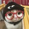黑猫警长