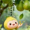 时光不语
