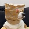 徒手煎蛋