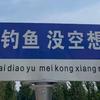 小鲶鲶路亚