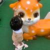 小灬鱼儿