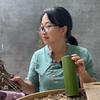 小果果