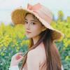 白菜不菜