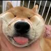 ⁥⁥