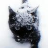 雪驿