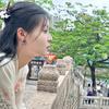 菜菜很菜