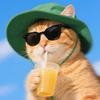 快乐大橘猫