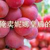 在大凉山种妮娜皇后