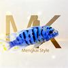 爱玩三湖的MK