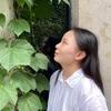天边的鱼