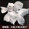 泓杰水族