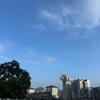 晓瞳