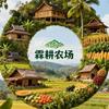 霖耕农场、玲姐