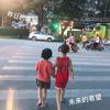 晨菲