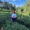 @华姐🍃