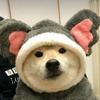 。。