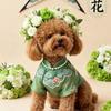 金豆是修勾呀🐶