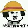 诸葛大力233