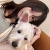 小萌