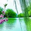 吉祥如意