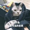 梦中人