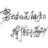 美金阿宁子