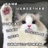 贵挖军团   小趙