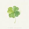 ^四叶草🍀^