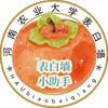 河南农大表白墙（主页新生答疑群）