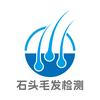 广州石头毛发检测