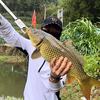 秦爱德钓鱼🎣