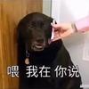 根正苗红祖国小花朵