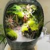 Peter.种植记