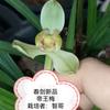 远洋实业