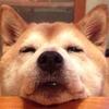 子言、