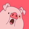 猪🐷 ㅤㅤㅤㅤㅤ