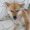 灬8面玲珑