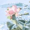 谚珊