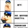 鼠头🐭🧠